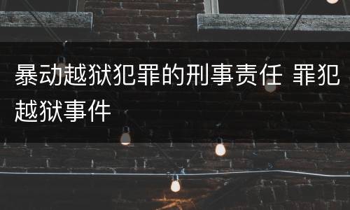 暴动越狱犯罪的刑事责任 罪犯越狱事件