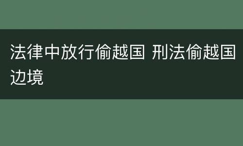 法律中放行偷越国 刑法偷越国边境