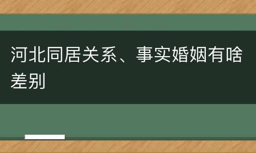 河北同居关系、事实婚姻有啥差别