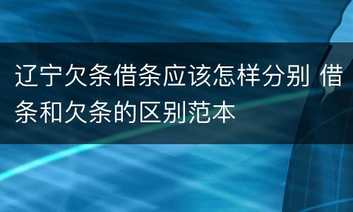辽宁欠条借条应该怎样分别 借条和欠条的区别范本