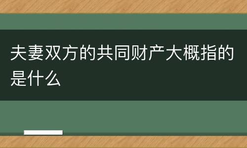 夫妻双方的共同财产大概指的是什么