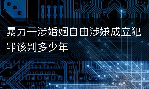 暴力干涉婚姻自由涉嫌成立犯罪该判多少年