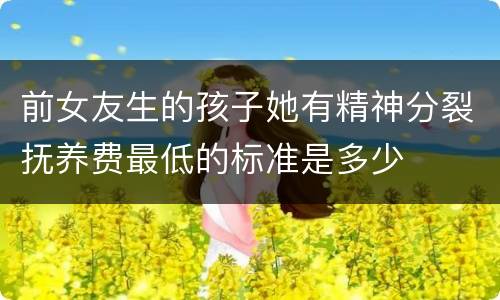 前女友生的孩子她有精神分裂抚养费最低的标准是多少