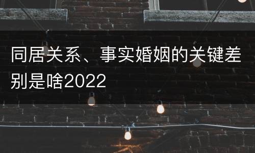 同居关系、事实婚姻的关键差别是啥2022