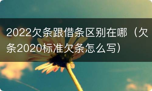 2022欠条跟借条区别在哪（欠条2020标准欠条怎么写）