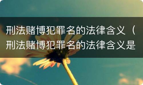 刑法赌博犯罪名的法律含义（刑法赌博犯罪名的法律含义是什么）