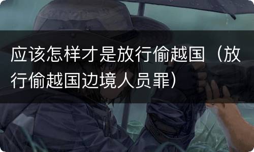 应该怎样才是放行偷越国（放行偷越国边境人员罪）