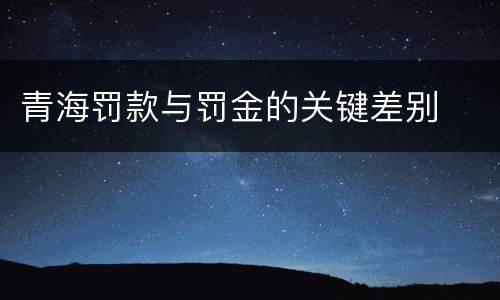 青海罚款与罚金的关键差别