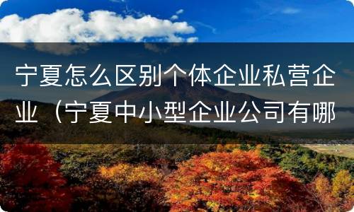 宁夏怎么区别个体企业私营企业（宁夏中小型企业公司有哪些）