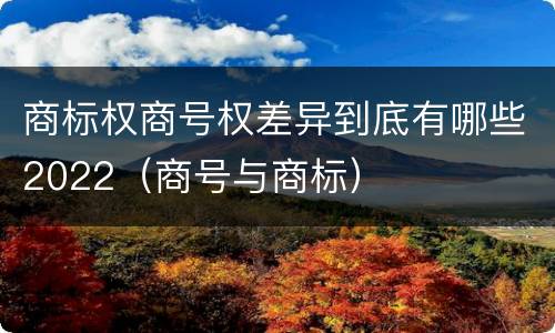 商标权商号权差异到底有哪些2022（商号与商标）