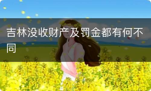 吉林没收财产及罚金都有何不同