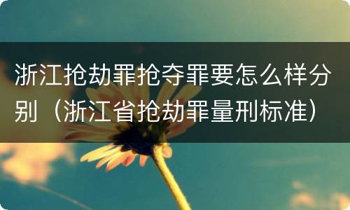 浙江抢劫罪抢夺罪要怎么样分别（浙江省抢劫罪量刑标准）