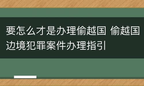 要怎么才是办理偷越国 偷越国边境犯罪案件办理指引