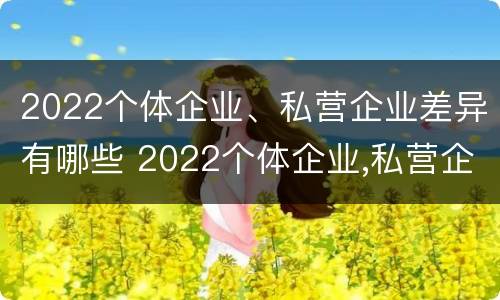 2022个体企业、私营企业差异有哪些 2022个体企业,私营企业差异有哪些问题