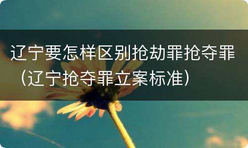 辽宁要怎样区别抢劫罪抢夺罪（辽宁抢夺罪立案标准）