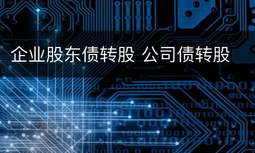 企业股东债转股 公司债转股
