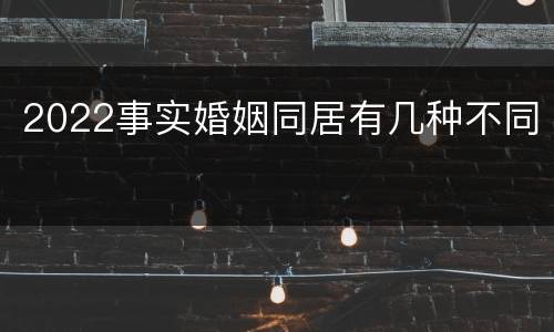 2022事实婚姻同居有几种不同
