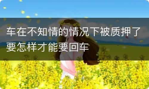 车在不知情的情况下被质押了要怎样才能要回车