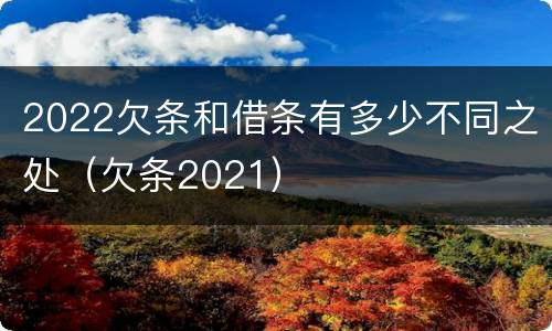 2022欠条和借条有多少不同之处（欠条2021）
