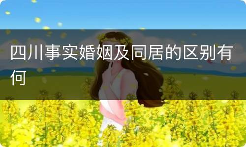 四川事实婚姻及同居的区别有何