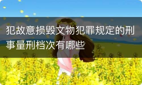 犯故意损毁文物犯罪规定的刑事量刑档次有哪些