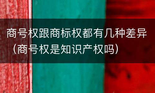 商号权跟商标权都有几种差异（商号权是知识产权吗）