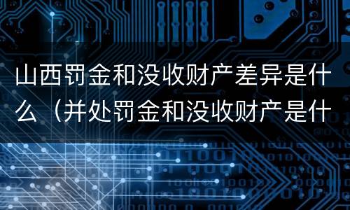 山西罚金和没收财产差异是什么（并处罚金和没收财产是什么意思）