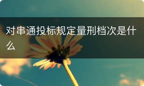 对串通投标规定量刑档次是什么