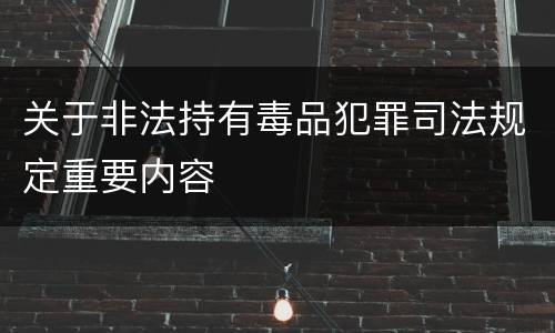 关于非法持有毒品犯罪司法规定重要内容