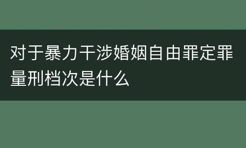 对于暴力干涉婚姻自由罪定罪量刑档次是什么