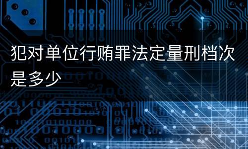 犯对单位行贿罪法定量刑档次是多少