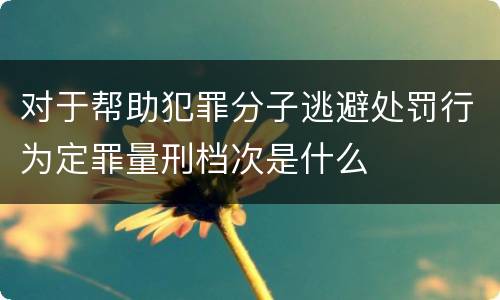 对于帮助犯罪分子逃避处罚行为定罪量刑档次是什么