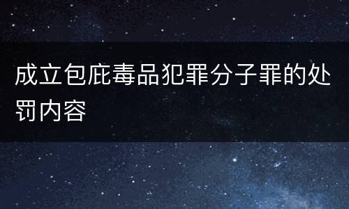 成立包庇毒品犯罪分子罪的处罚内容