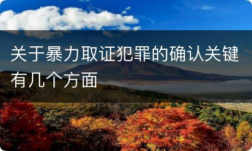 关于暴力取证犯罪的确认关键有几个方面