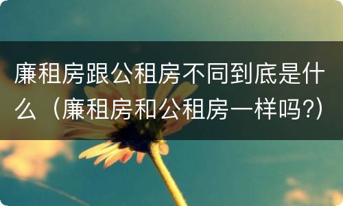 廉租房跟公租房不同到底是什么（廉租房和公租房一样吗?）
