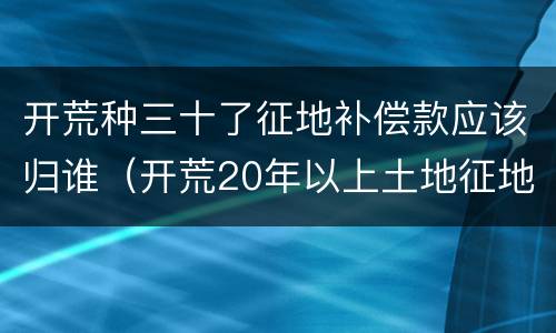 开荒种三十了征地补偿款应该归谁（开荒20年以上土地征地补偿款归谁）