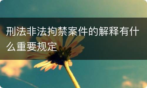 刑法非法拘禁案件的解释有什么重要规定