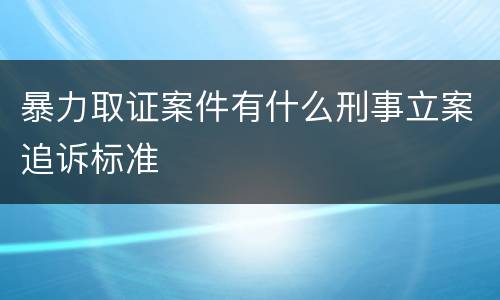 暴力取证案件有什么刑事立案追诉标准