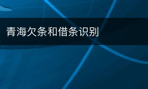 青海欠条和借条识别