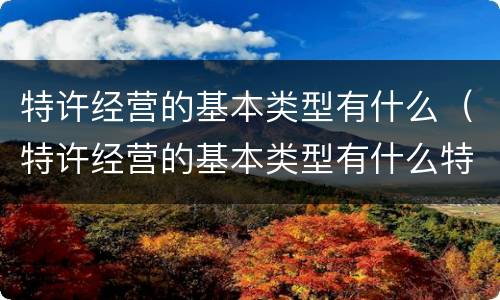 特许经营的基本类型有什么（特许经营的基本类型有什么特点）
