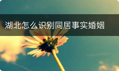 湖北怎么识别同居事实婚姻