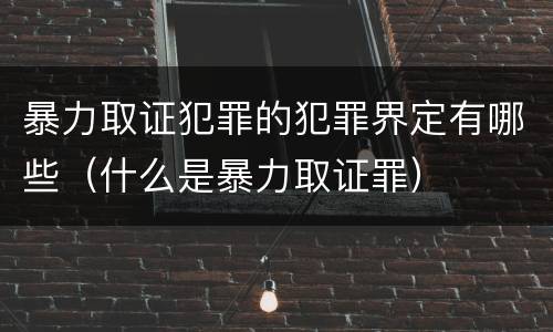 暴力取证犯罪的犯罪界定有哪些（什么是暴力取证罪）