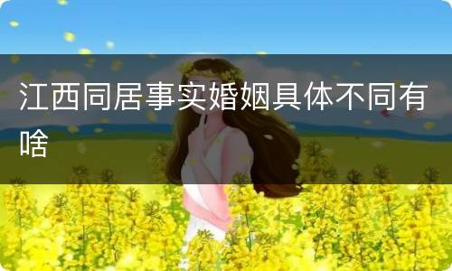 江西同居事实婚姻具体不同有啥