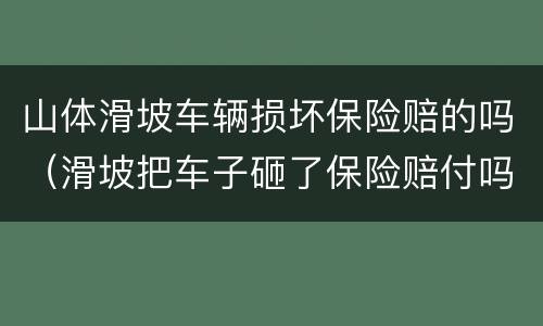 山体滑坡车辆损坏保险赔的吗（滑坡把车子砸了保险赔付吗）