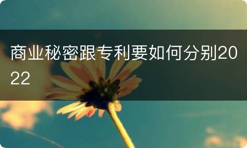 商业秘密跟专利要如何分别2022