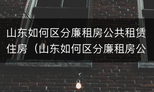山东如何区分廉租房公共租赁住房（山东如何区分廉租房公共租赁住房和商品房）