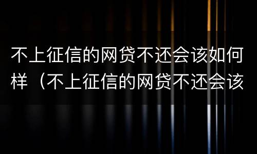 不上征信的网贷不还会该如何样（不上征信的网贷不还会该如何样呢）