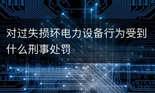 对过失损坏电力设备行为受到什么刑事处罚