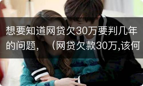 想要知道网贷欠30万要判几年的问题，（网贷欠款30万,该何去何从?求上岸）