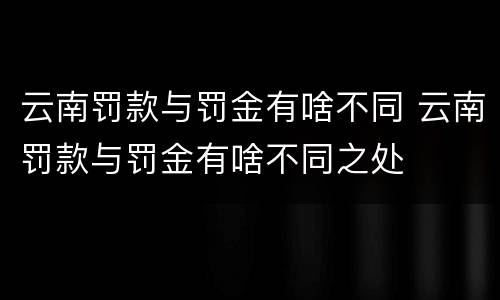 云南罚款与罚金有啥不同 云南罚款与罚金有啥不同之处